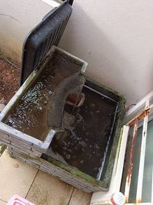 Water fountain 