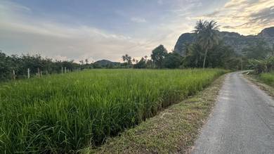 Agricultural Land in Kangar, PLS