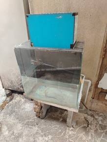 aquarium 