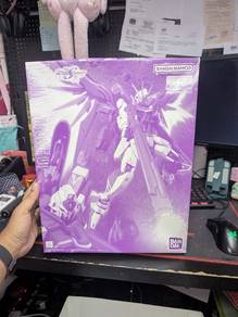 Bandai MG 1/100 Destiny Impulse Gundam Regenes R