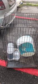 sangkar kucing