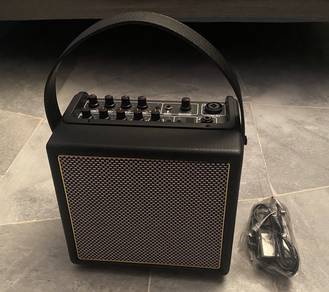 Rowin 30w portable acoustic guitar amplifier speak