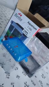 Small Fish Aquarium