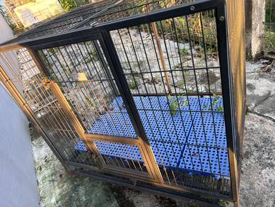 big dog cage