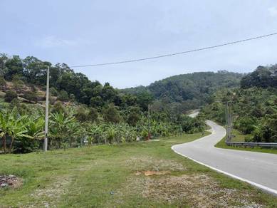 Agricultural Land in Kuala Klawang, NSN