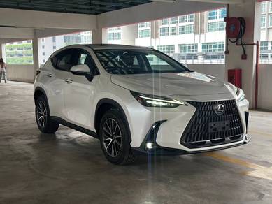 Lexus NX 250 LUXURY in Bukit Bintang, KUL