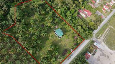 Agricultural Land in Trong, PRK