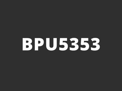 BPU5353