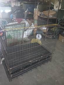 sangkar kucing