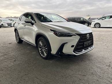 Lexus NX 250 LUXURY in Cheras, KUL