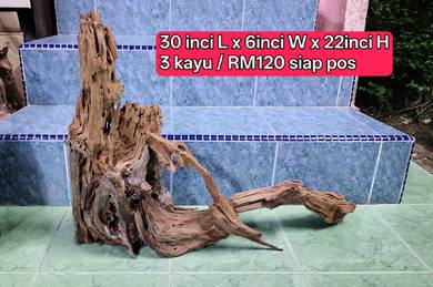 Driftwood - kayu hiasan Aquarium