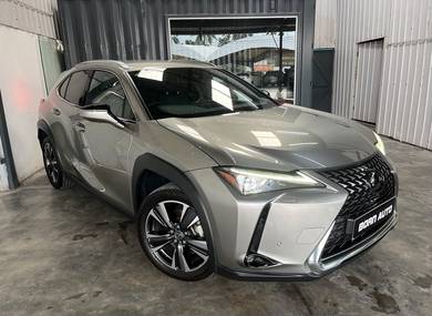 2023 Lexus UX 200 LUXURY