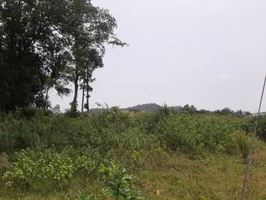 Agricultural Land in Alor Gajah, MLK