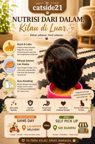 premium cat food