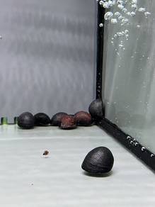 Miiltary Helmet Snail