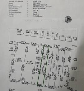 Agricultural Land in Melaka Tengah, MLK