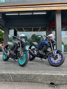 Yamaha MT250