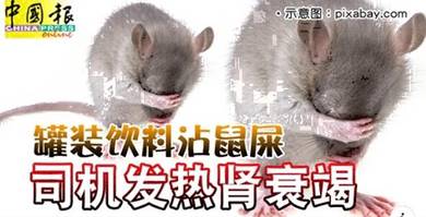 Pest Guard . zA30.l