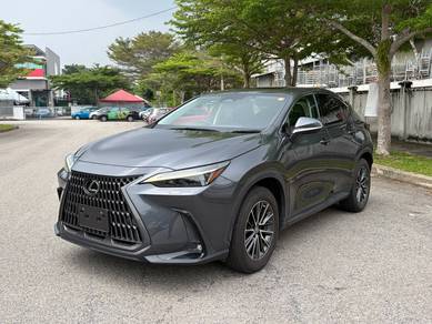 Lexus NX 250 LUXURY in Kota Damansara, SGR