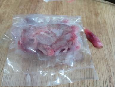 Frozen Pinky Mice 