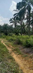 Residential Land in Jasin, MLK