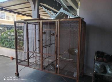 bird cage