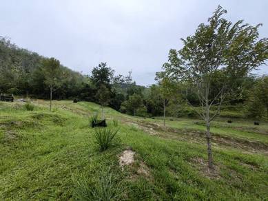 Agricultural Land in Kuala Klawang, NSN