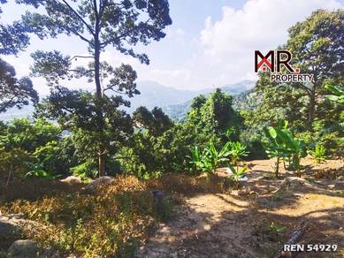 Agricultural Land in Balik Pulau, PNG