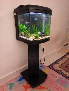 Akuarium 1 Set sekali Glofish 8 ekor 🐠🐟
