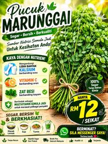 pucuk marunggai