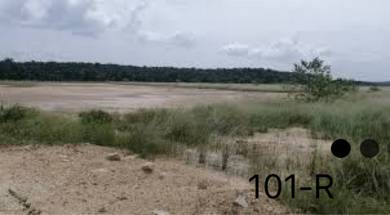 Agricultural Land in Kapar, SGR