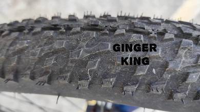 Bicycle Freestorm TRS Frame 16, collect PJ Gasing