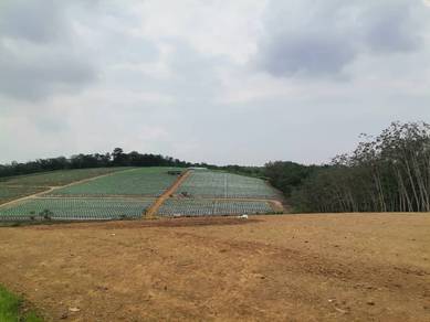 Agricultural Land in Kota Tinggi, JHR