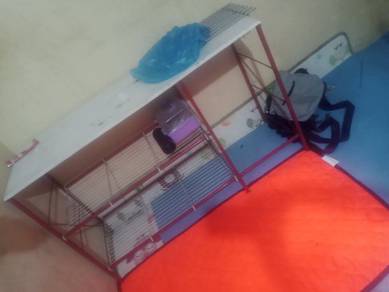 rakdapur  free dapur