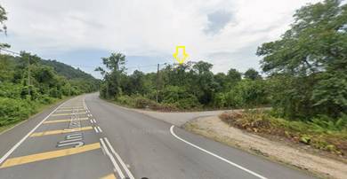 Agricultural Land in Others, PHG