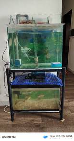 2ft aquarium x2