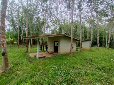 Agricultural Land in Padang Terap, KDH