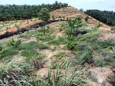 Agricultural Land in Rembau, NSN