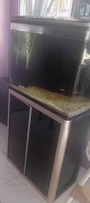 fish aquarium 