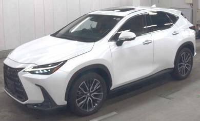 2023 Lexus NX 250 LUXURY