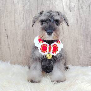 Schnauzer