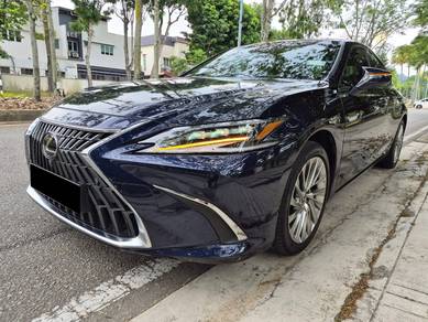 Lexus ES 250 LUXURY in Bandar Bukit Raja, SGR