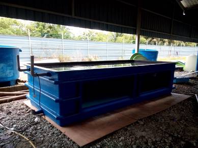 Fish Aquarium Tank ( offer )