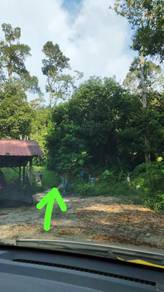 Agricultural Land in Teluk Kumbar, PNG