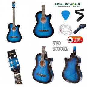 EVO Folk Guitar T38C