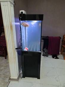 aquarium