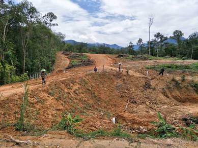Agricultural Land in Tanjung Malim, PRK
