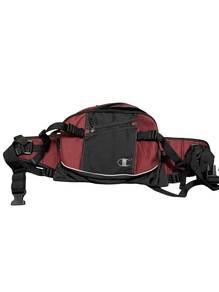 Champion two way bag