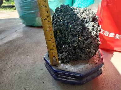 Rare Natural Leklai Stone