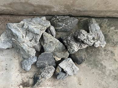 letgo driftwood and stones all together